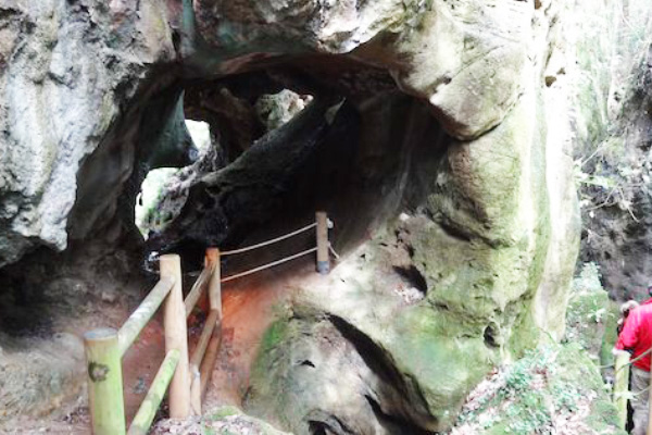 Las Cuevas de Andía / Andina